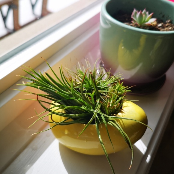 Meet your Posher, Betty - Picture 1 of 1